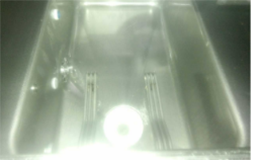 裝配軟水機的食堂洗碗機